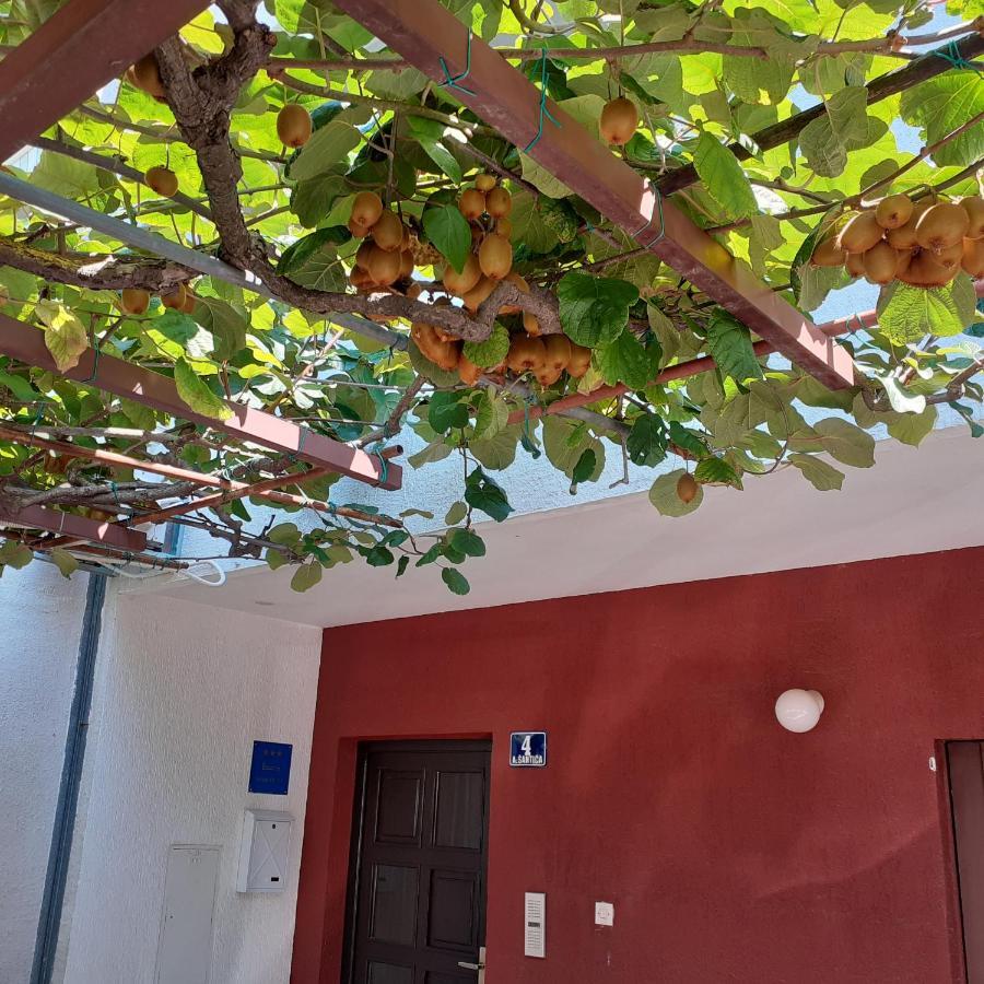 Appartamento App Milka Porec Esterno foto